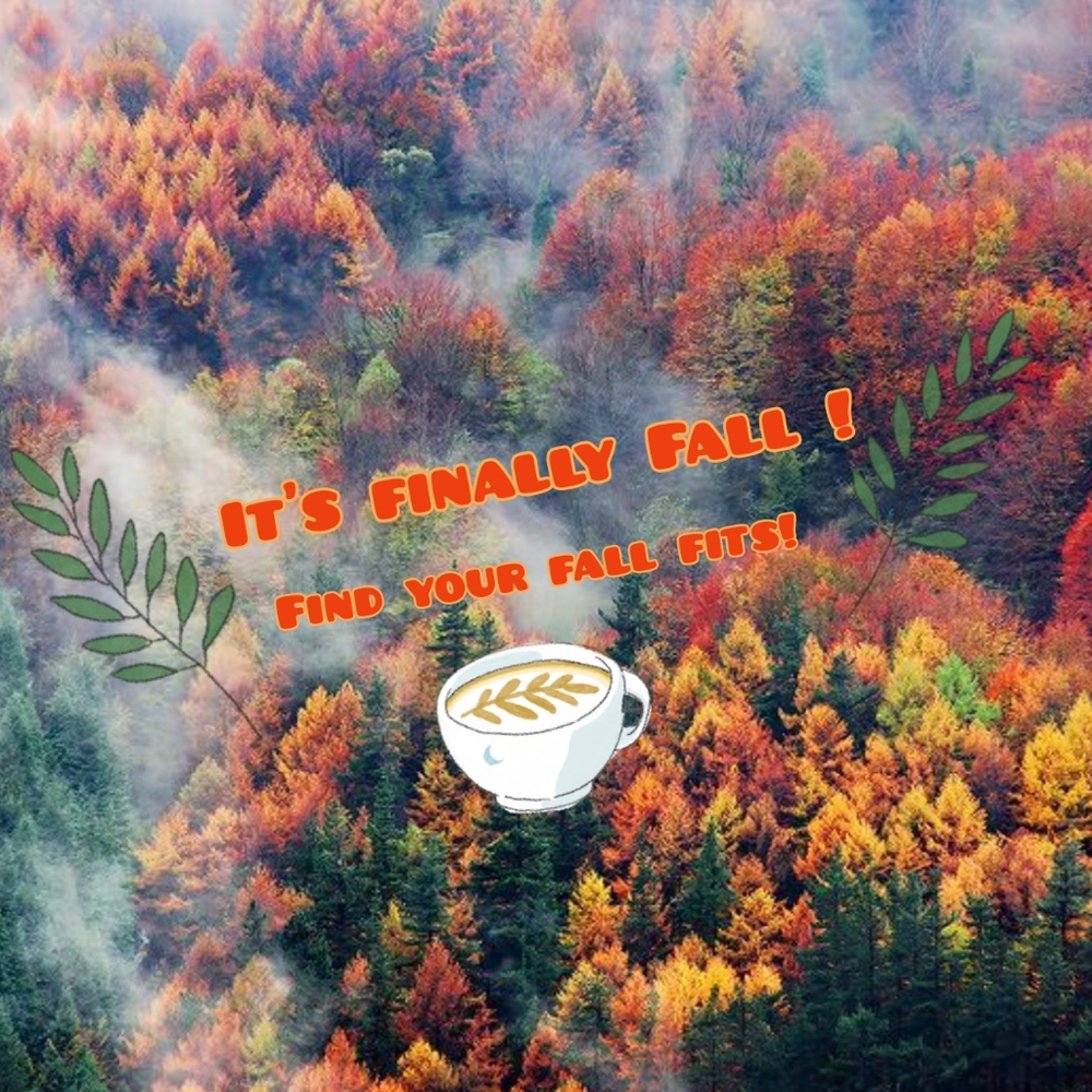 It's Fall Y'all! 2021
